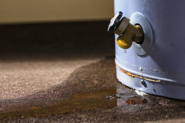 Best Fire Damage Restoration  in Daleville, VA