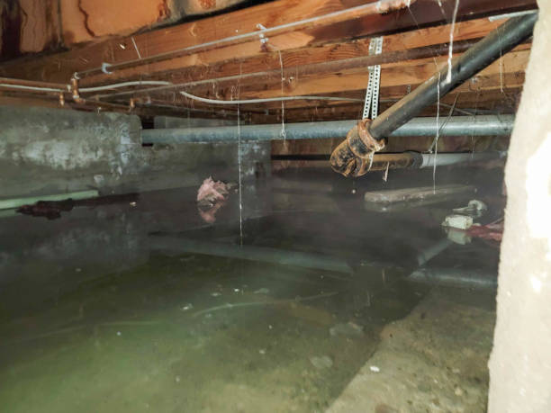 Best Flooded house restoration  in Daleville, VA