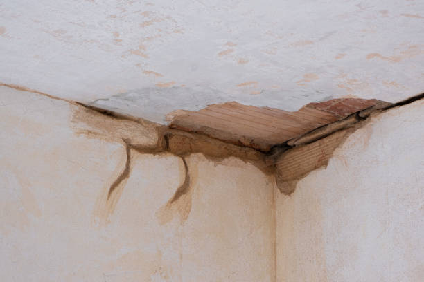 Best Basement water damage restoration  in Daleville, VA