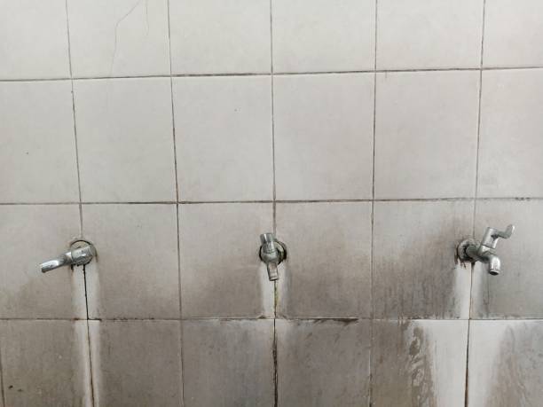 Best Sewage cleanup and water damage restoration  in Daleville, VA