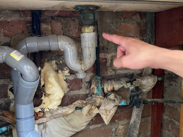 Best Professional water damage repair  in Daleville, VA