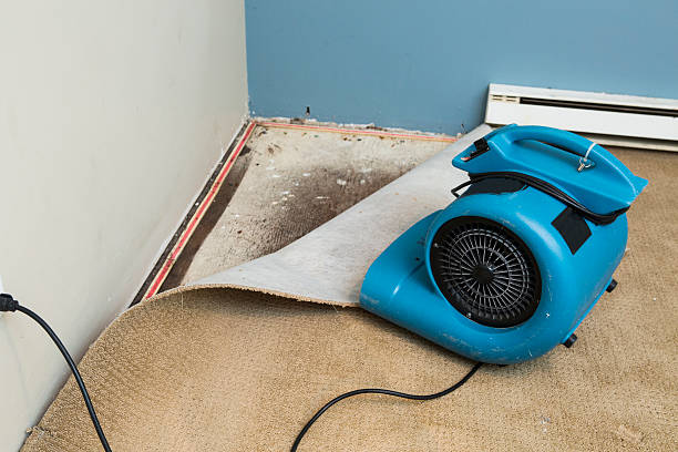 Best Local water damage restoration  in Daleville, VA